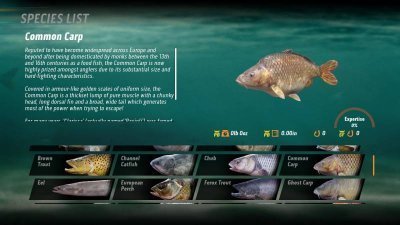 The Catch Carp & Coarse
